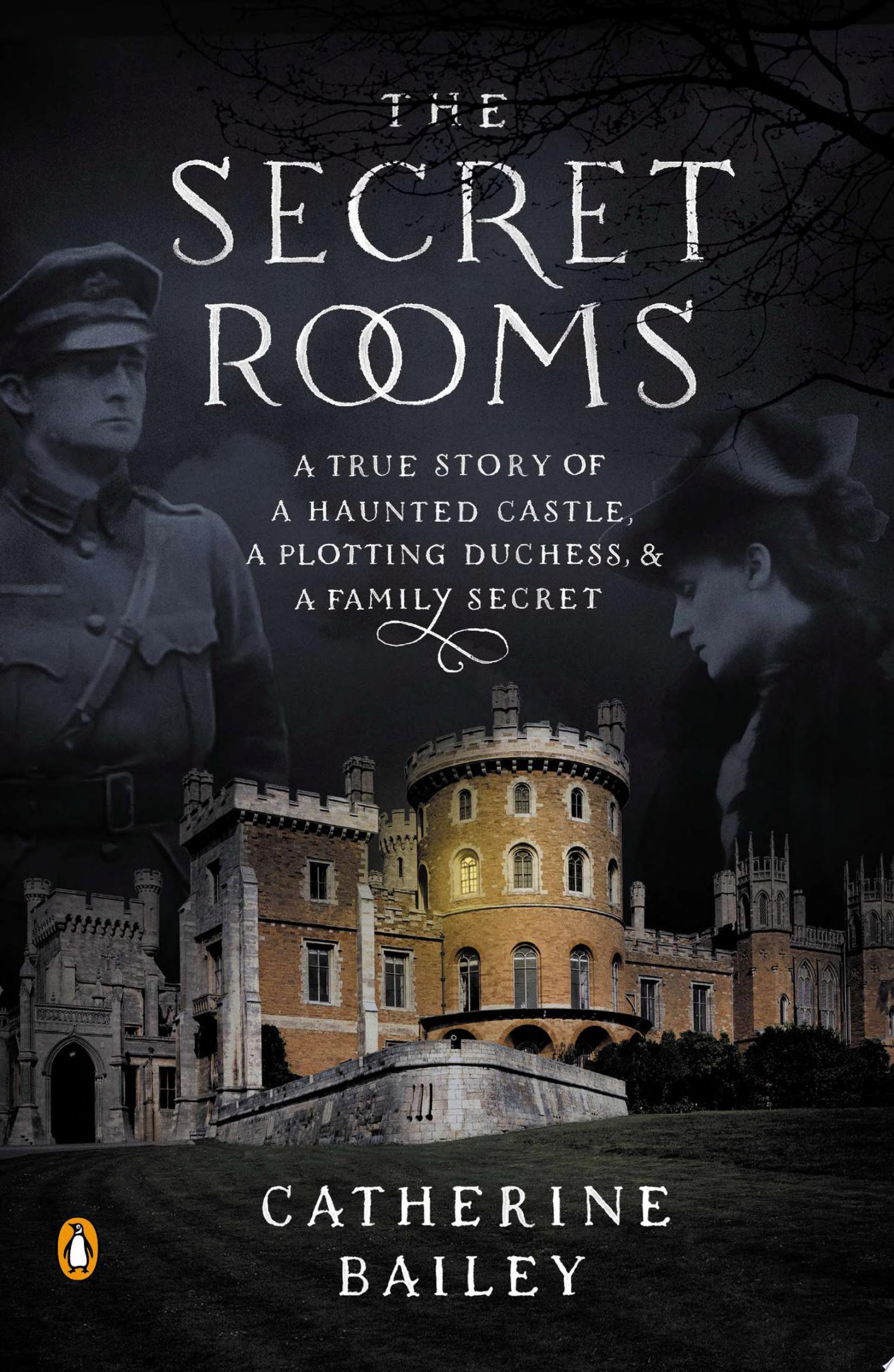 Image for "The Secret Rooms"