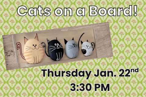 cats on a board 3:30 pm